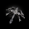 Abyssal Cross